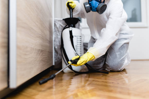 Best Best Pest Control Companies  in Gray, LA