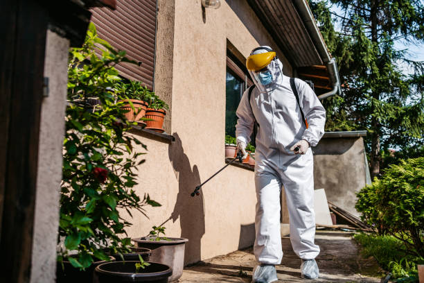 Best Pest Removal Services  in Gray, LA