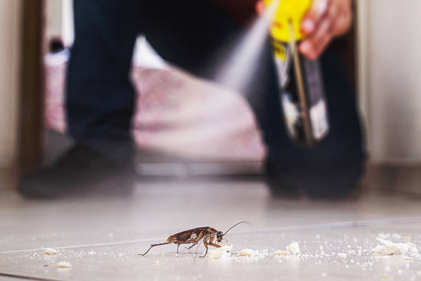 Best Residential Pest Control  in Gray, LA